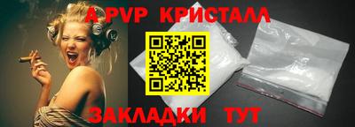 a pvp Кингисепп