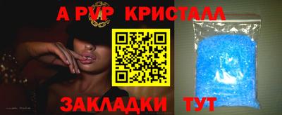 a pvp Кингисепп