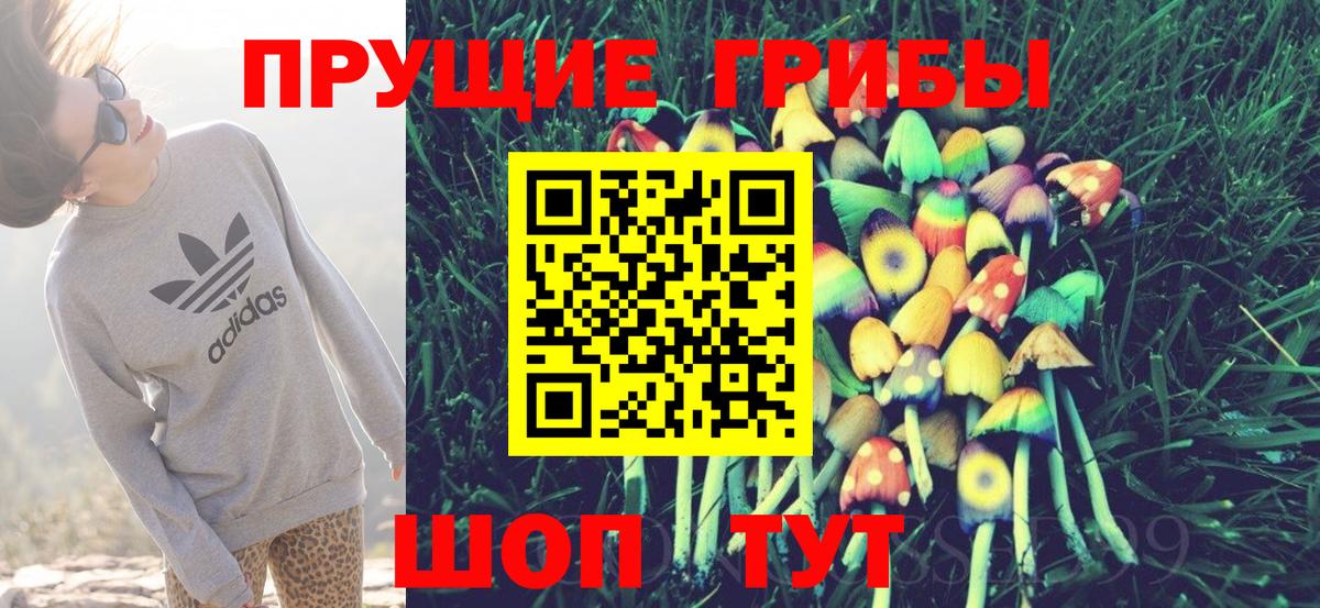 Псилоцибиновые грибы Cubensis  наркота  Шатура  Вход с VPN 