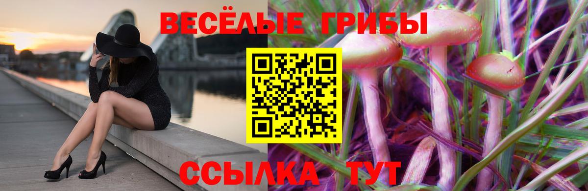 Псилоцибиновые грибы мицелий Шатура